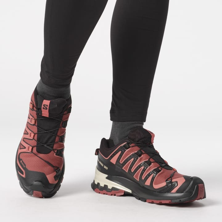 ■Salomon■ XA Pro 3D V9 GTX W Kou Hide Black Faded Rose L47 Salomon | XA Pro 3D V9 Gore-Tex - Hide/Black/Rose | The